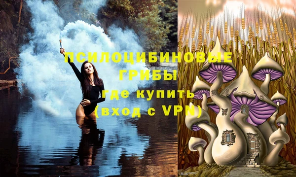 прущая мука Зеленокумск